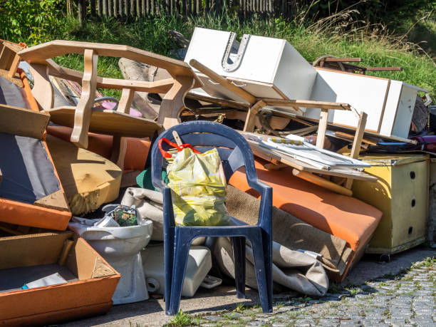 Best Dumpster Rental Services  in Asbury Lake, FL